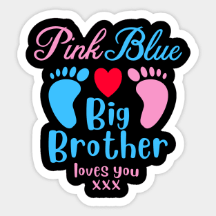 Pink or Blue Big Brother Loves You Boys Gender Reveal Sticker